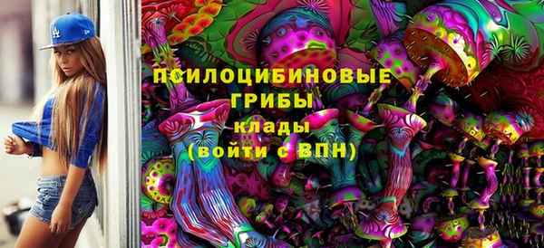 гашик Козельск