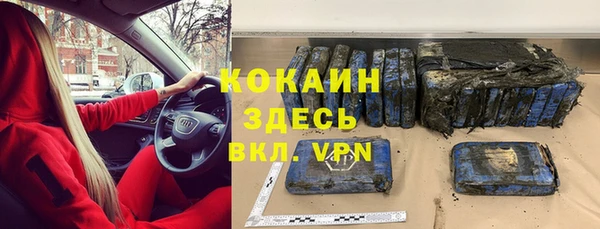 винт Абаза